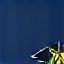 Starkes Material Icon